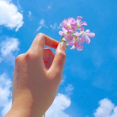 Piyo di Sherni 🦁
Hindi naal sadda haath tang aa
follow for follow only!
