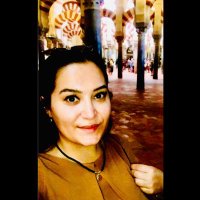 Zeynep Demir (@zeynepdemirmsc) 's Twitter Profile
