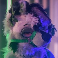 Fin (@corvidviking) 's Twitter Profile Photo Fin (@corvidviking) 's Twitter Profile Photo