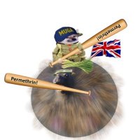 Cumbrian NAFO Fella 🇺🇦 🦈 🇬🇪🇨🇦 Main Bastard (@discobiscuit78) 's Twitter Profile Photo Cumbrian NAFO Fella 🇺🇦 🦈 🇬🇪🇨🇦 Main Bastard (@discobiscuit78) 's Twitter Profile Photo