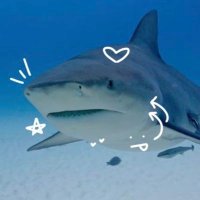 gawthie (@stupidgothh) 's Twitter Profile