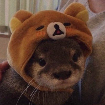 outcastさんのプロフィール画像