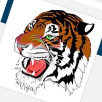 McKeesport Tigers Football (@mcktigersfb) 's Twitter Profile Photo McKeesport Tigers Football (@mcktigersfb) 's Twitter Profile Photo