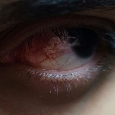false_prophetro's profile picture. 