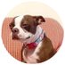 Cryingdog_sol (@cryingdog_sol) Twitter profile photo Cryingdog_sol (@cryingdog_sol) Twitter profile photo