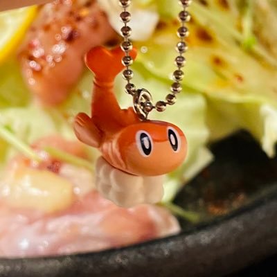 Kyutech B3ロボ ポケキット代表 天文部、KITscorpe所属 /ドロスと羊文学が好き / 彼女まち大好き