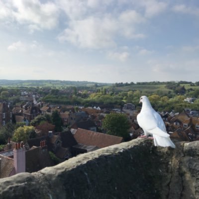 R Profile