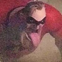 πββοΈπ (@leakem_jit) 's Twitter Profile