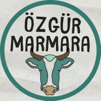 Özgür Marmara (@ozgur_marmaraa) 's Twitter Profile Photo
