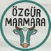 Özgür Marmara (@ozgur_marmaraa) Twitter profile photo Özgür Marmara (@ozgur_marmaraa) Twitter profile photo