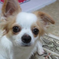 天空(天神) (@sunheartjpn22) 's Twitter Profile
