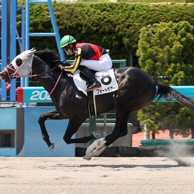 競馬を多角的に分析する競馬アナライザー!サンデーレーシングとシルクレーシングの1口会員!馬主血統・ラップ・傾向など全てを網羅しているのが自慢。馬券が当たるのも勿論ですが、様々な視点で競馬を楽しみたいと思います。