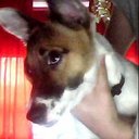 Thomas Macpherson - @M94thomas - Twitter