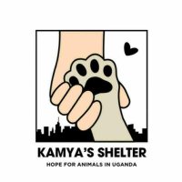 KAMYA'S SHELTER AND RESCUE OUTREACHES (@kjoseph23864) 's Twitter Profile