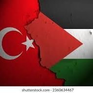 gulumserozer1's profile picture. özer