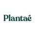 Plantae (@plantaedrink) Twitter profile photo Plantae (@plantaedrink) Twitter profile photo