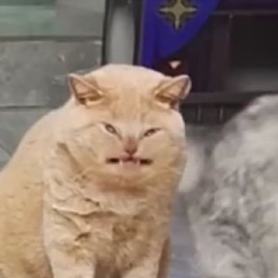 Kinhuti1's profile picture. 