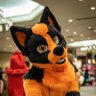 SukaVulpe's profile picture. Just a goofy not cute fox who does tik tok and stoof. He/Him taken