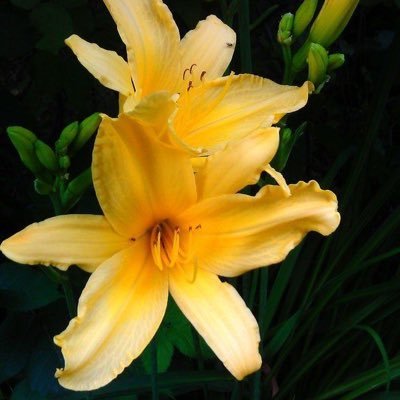 ddyhaenadra's profile picture. 