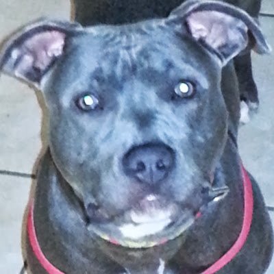 jimbo8636's profile picture. 