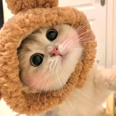 hanadikahana's profile picture. 