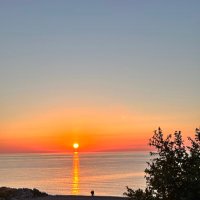 Nikolas (@nikolas3734) 's Twitter Profile