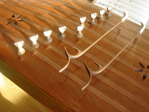 Santurista's profile picture. Peyman Heydarian, Computer Scientist and santurist