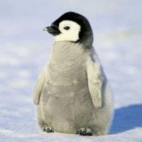 밀키 (@alerjxm) 's Twitter Profile Photo