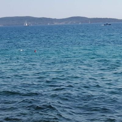 RogjoTuljan999's profile picture. The fucking satanists want to take over the world and turn everything upside down. They only succeed when people are stupid and godless. Dont stand with agenda