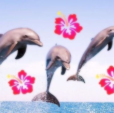 smine888's profile picture. selling pcs raaaah ¦¦ check my media 4 my pcs