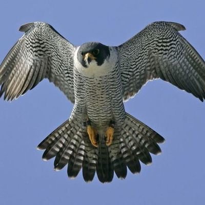 9oqj56et1s's profile picture. Journalism with a conscience. I report on human rights, refugees, and the struggle for freedom. #FreePress #HumanRights
