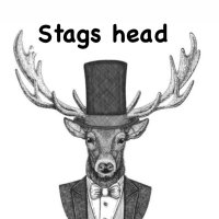Stags Head Events (@stagsheadevents) 's Twitter Profile
