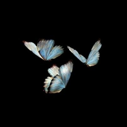 Littledust77's profile picture. let's be friend with me