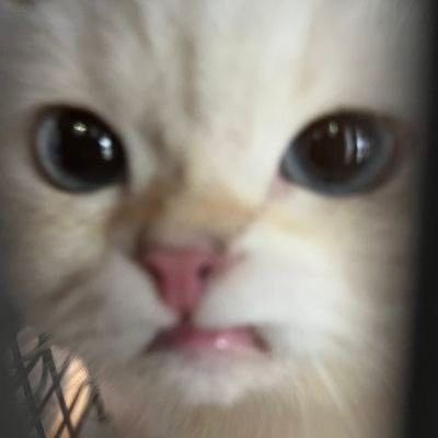 DKMK