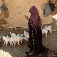  علياء (@janoubaden) 's Twitter Profile Photo علياء (@janoubaden) 's Twitter Profile Photo