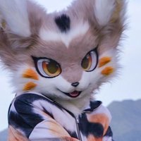 じょべ😺 (@catmainichi) Twitter profile photo