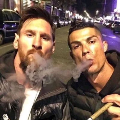 qottcheats's profile picture. 