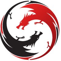 Perspective Dragon (@pdragoncorp) 's Twitter Profile