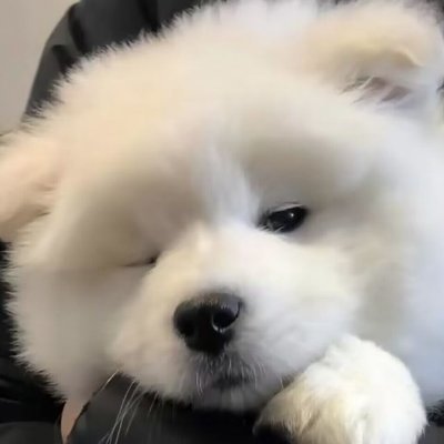 交易的核心是等待，不做交易计划外的操作，永远记住，财不入急门。推文不为任何交易作参考。