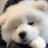 FromDust42's profile image
