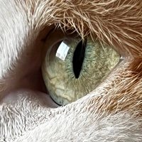 Silvana (@silvanasangui44) 's Twitter Profile Photo Silvana (@silvanasangui44) 's Twitter Profile Photo