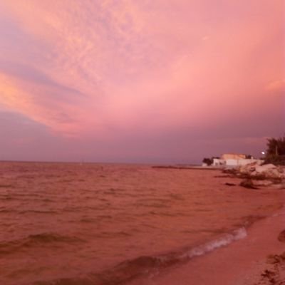 DULCE511's profile picture. 