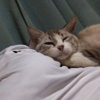 9 am (@lrm20000002) 's Twitter Profile
