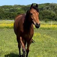 Louise Platt (@louiseplatt17) 's Twitter Profile Photo