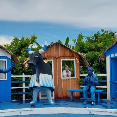 tailoliveira's profile picture. Brasil - Manaus/Am