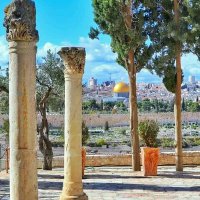 فــــــلًَسًــــــــطيـــــــّن قــــــضيــتي 🇵🇸 (@palestine_qtht) 's Twitter Profile