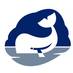 Whale (@whale_pumps) Twitter profile photo Whale (@whale_pumps) Twitter profile photo