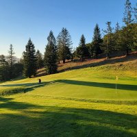 Cali golfer (@cali_g0lfer) 's Twitter Profile Photo