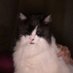 noni (@erlok8) Twitter profile photo noni (@erlok8) Twitter profile photo