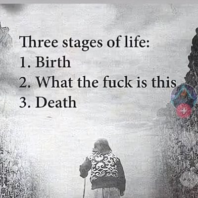 Ella4Dogs's profile picture. 🐶